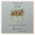Product listings for 'Cardinal with scripture' and '1 Chronicles 16:34 pumpkin'