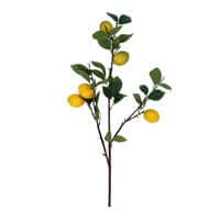 Lemon Branch - 85cm