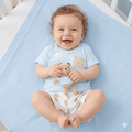 Baby Boys Bear T-Shirt, Shorts and Plush Toy Set