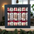 Biggie Best - Traditional Trees Cracker Box Set of 6