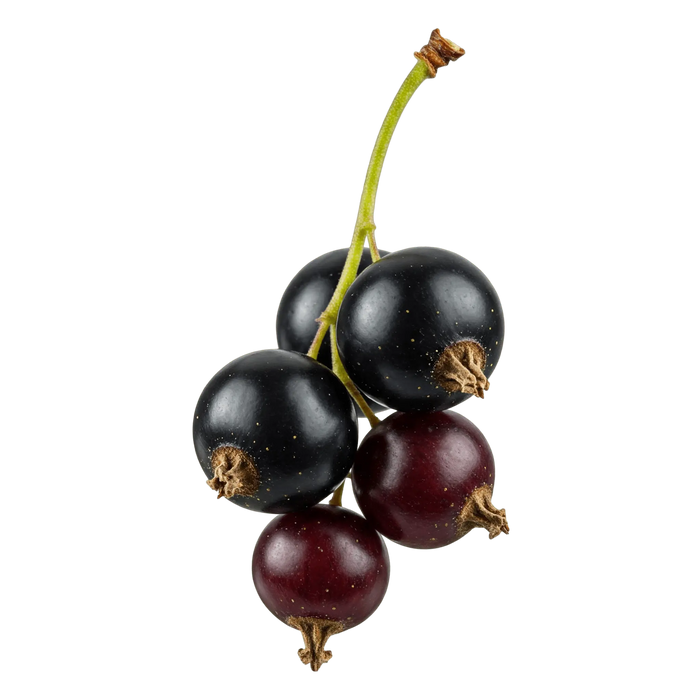 Black Currant Dark Balsamic Vinegar - Tubac Gourmet Foods