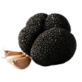 Black Truffle Olive Oil With Garlic - Tubac Gourmet Foods