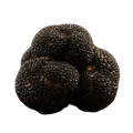 Black Truffle Olive Oil - Tubac Gourmet Foods