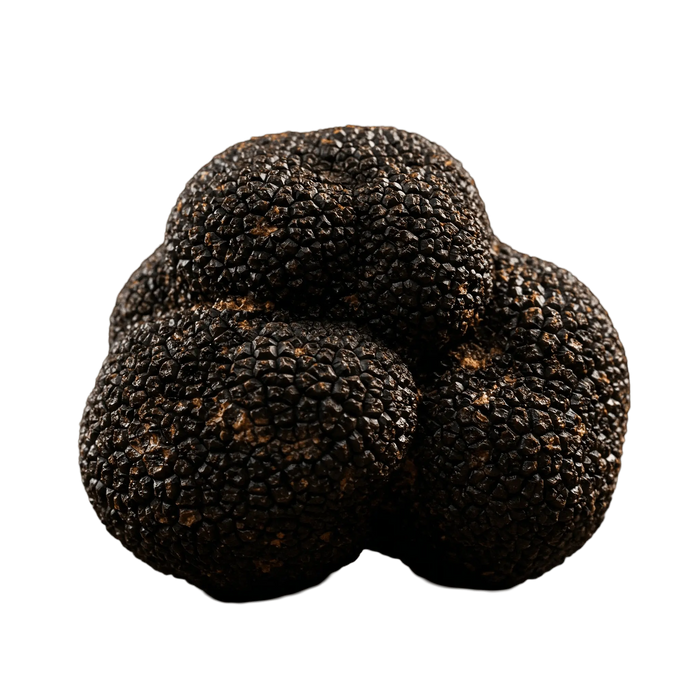 Black Truffle Olive Oil - Tubac Gourmet Foods