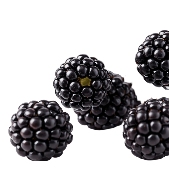 Blackberry Dark Balsamic Vinegar - Tubac Gourmet Foods