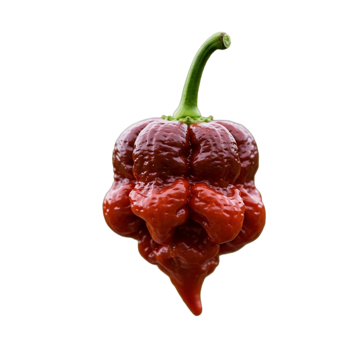 Carolina Reaper Olive Oil - Tubac Gourmet Foods