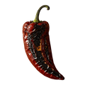 Roasted Chile Olive Oil - Tubac Gourmet Foods