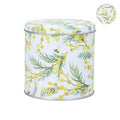 Chocolate Tin - Mimosa