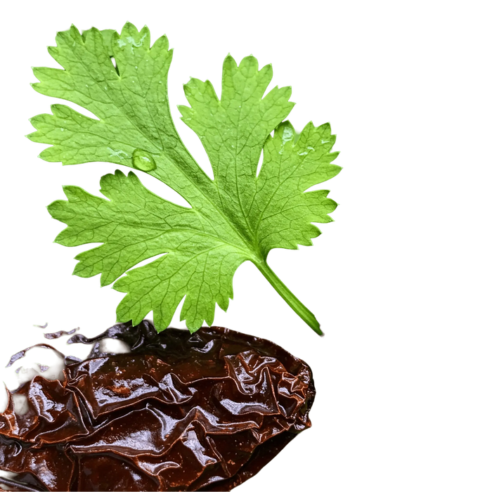 Cilantro Chipotle Olive Oil - Tubac Gourmet Foods