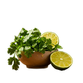 Cilantro Lime Olive Oil - Tubac Gourmet Foods