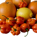 Citrus Habanero Olive Oil - Tubac Gourmet Foods