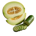 Cucumber Melon White Balsamic Vinegar, 375 ml. Bottle - Tubac Gourmet Foods