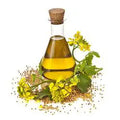 Cumin Olive Oil, 12.6oz bottle - Tubac Gourmet Foods