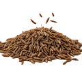 Cumin Olive Oil - Tubac Gourmet Foods
