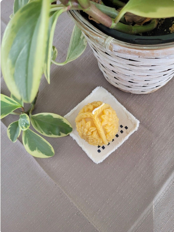 Yellow egg-shaped candle on a white coaster with a plant in the background
