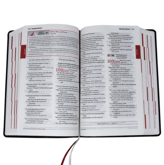 Divine Mercy Bible