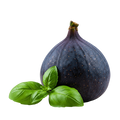 Fig Basil Balsamic Honey Mustard Dressing 12 oz. - Tubac Gourmet Foods