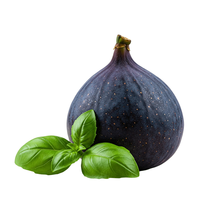 Fig Basil Balsamic Honey Mustard Dressing 12 oz. - Tubac Gourmet Foods