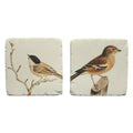 Finch Resin Coaster - Pack of 2