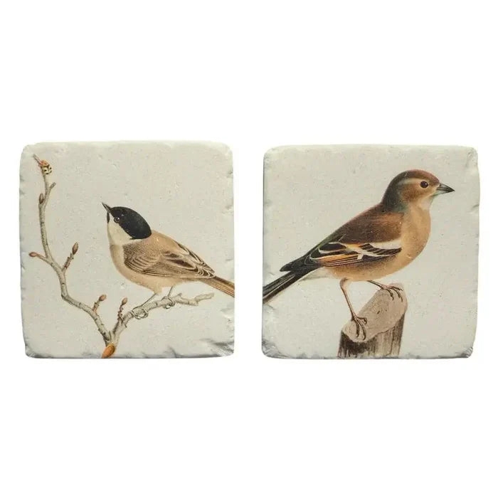 Finch Resin Coaster - Pack of 2