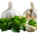 Garlic Cilantro Olive Oil - Tubac Gourmet Foods