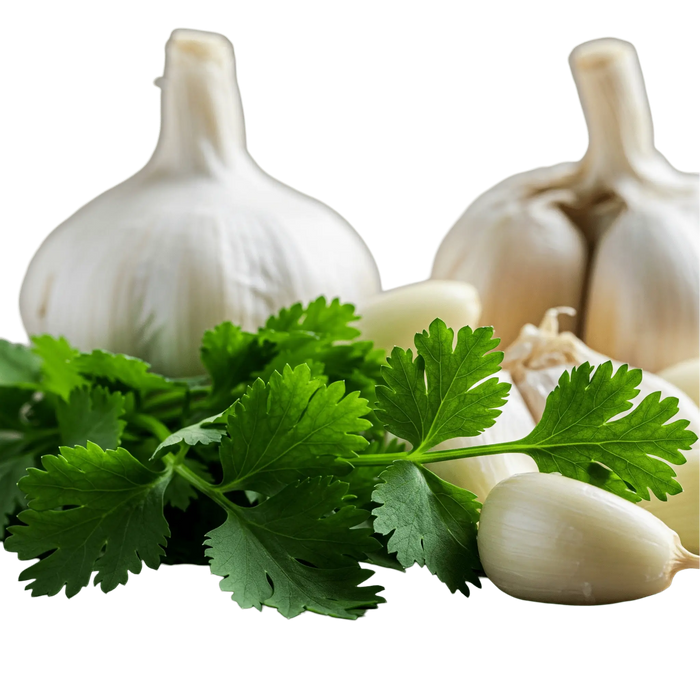 Garlic Cilantro Olive Oil - Tubac Gourmet Foods