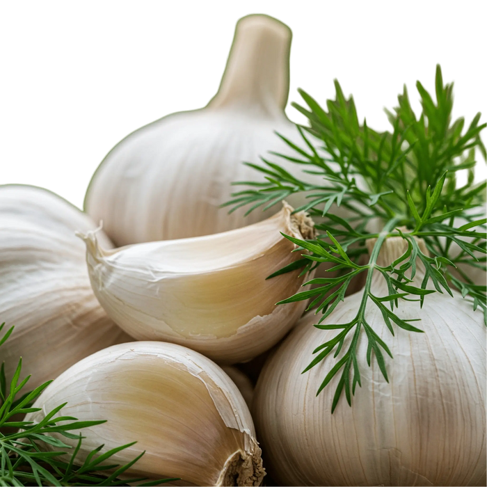 Garlic Dill White Balsamic Vinegar, 375 ml. Bottle. - Tubac Gourmet Foods