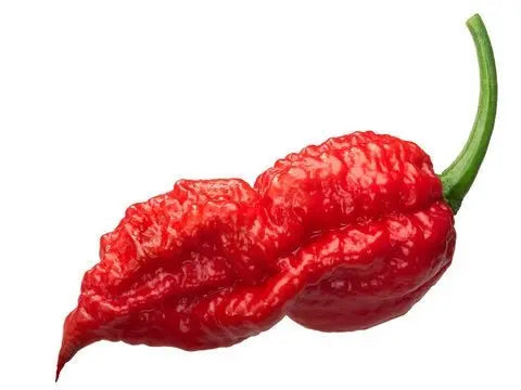 After Death Ghost Pepper Gourmet Salsa, 12 oz. - Tubac Gourmet Foods
