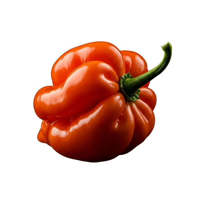 Habanero Olive Oil - Tubac Gourmet Foods