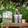 Heathcote & Ivory In The Garden Soothe & Scrub Hut