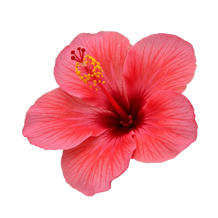 Hibiscus Dark Balsamic Vinegar - Tubac Gourmet Foods