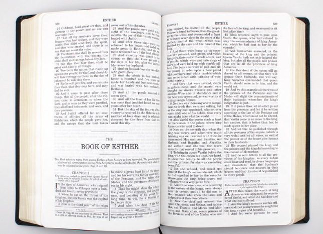 Holy Bible Douay Rheims Version