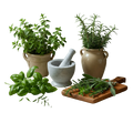 Italian Herb Olive Oil - Tubac Gourmet Foods