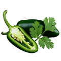 Jalapeño Cilantro Olive Oil - Tubac Gourmet Foods