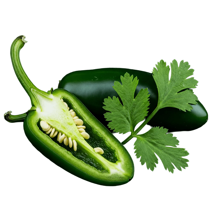 Jalapeño Cilantro Olive Oil - Tubac Gourmet Foods