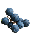 Juniper Berry Dark Balsamic Vinegar - Tubac Gourmet Foods