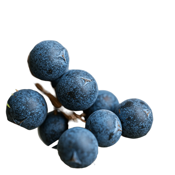 Juniper Berry Dark Balsamic Vinegar - Tubac Gourmet Foods