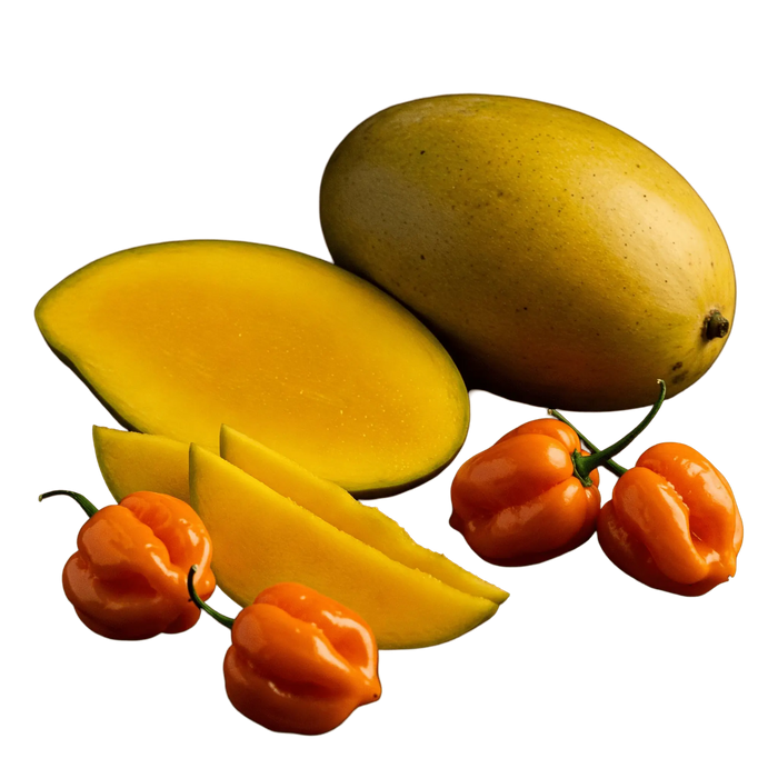 Mango Habanero Balsamic Honey Mustard Dressing 12 oz. - Tubac Gourmet Foods
