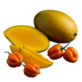 Mango Habanero Balsamic Honey Mustard Dressing 12 oz. - Tubac Gourmet Foods