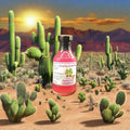 3 Bottles Margarita Mixers for $27.00 - Tubac Gourmet Foods