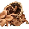 Mushroom Lover’s Olive Oil - Tubac Gourmet Foods