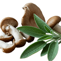 Mushroom Sage Olive Oil - Tubac Gourmet Foods
