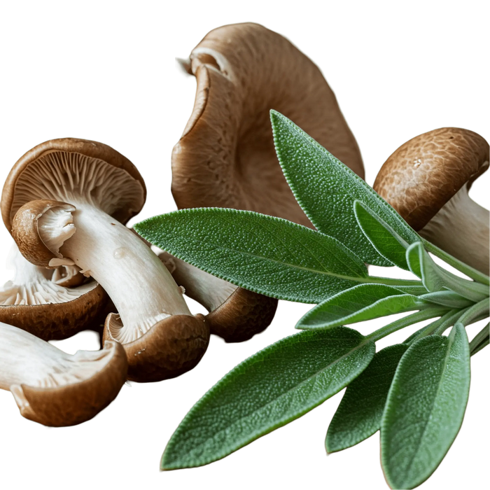 Mushroom Sage Olive Oil - Tubac Gourmet Foods