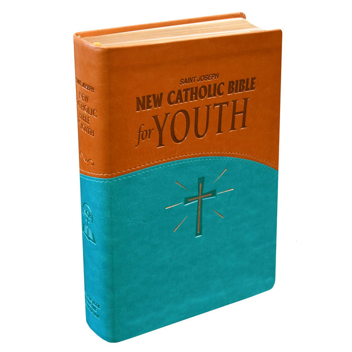 Catholic Bible for Youth with brown top and blue bottom on a white background