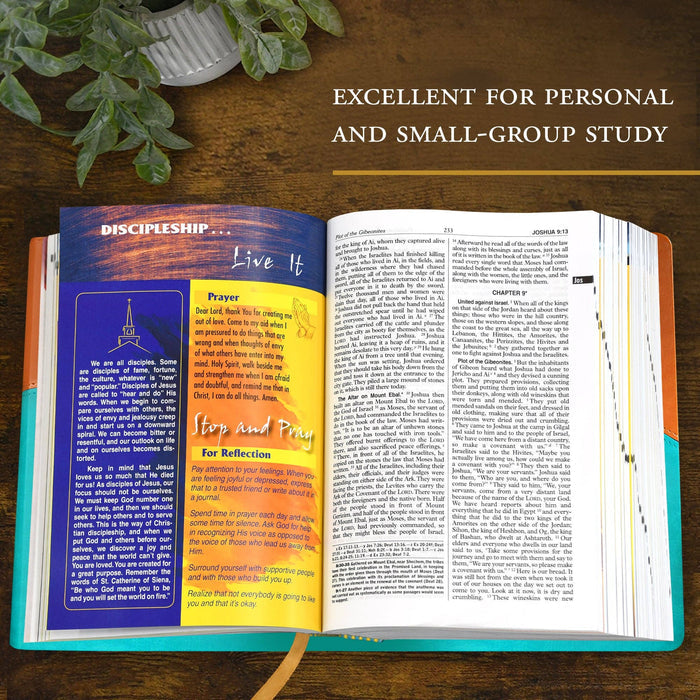 Open book with colorful sections on a wooden surface, text 'Excellent for personal and small-group study' above.