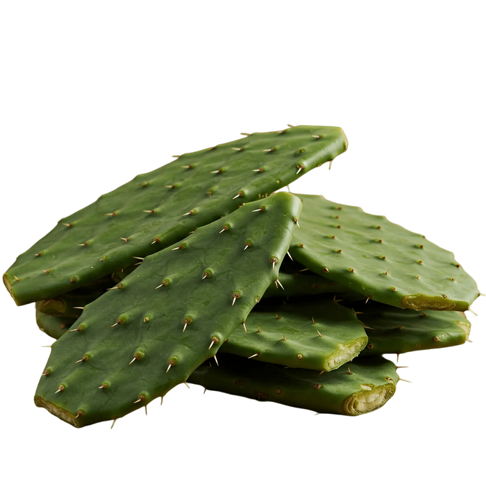 Nopales (cactus) Salsa Verde mild 12oz. - Tubac Gourmet Foods