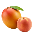 Peach Mango Balsamic Honey Mustard Dressing 12 oz. - Tubac Gourmet Foods