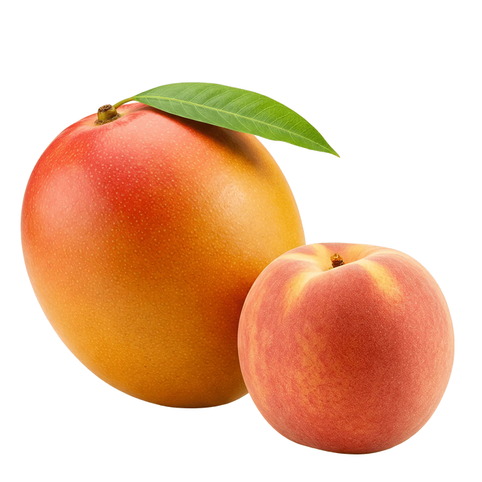 Peach Mango Balsamic Honey Mustard Dressing 12 oz. - Tubac Gourmet Foods