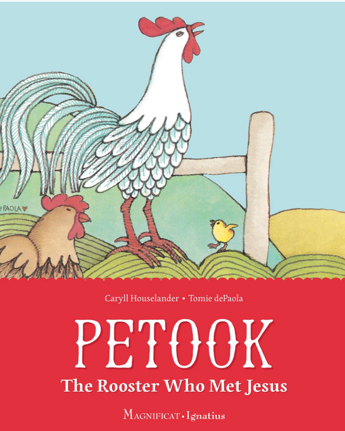 Petook