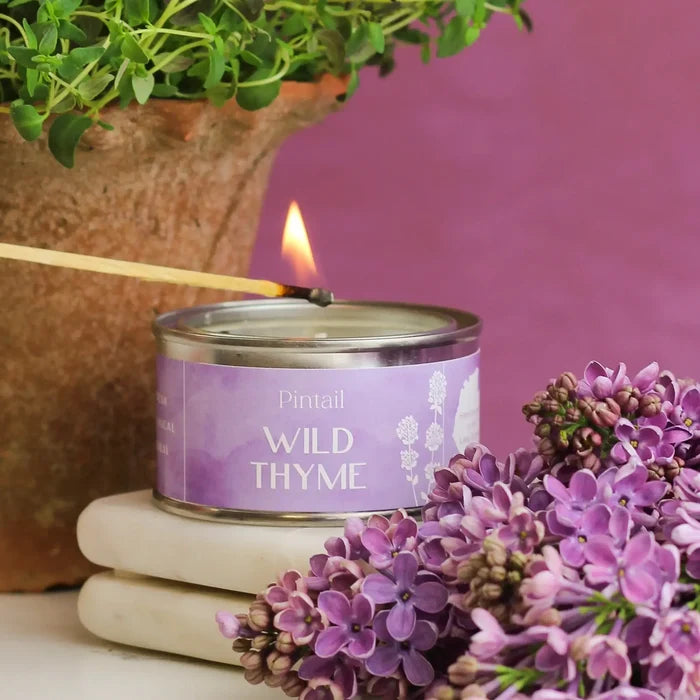 Pintail Candles - Wild Thyme Paint Pot